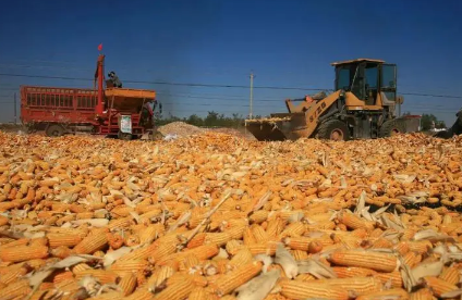 粮食补贴发放到社保卡还是一卡通（粮补卡和社保卡是同一账户吗）