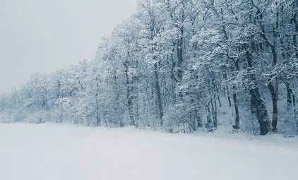 2023进入雨水节气还会下雪吗（进入雨水节气天气有什么变化）