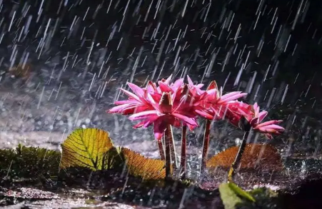 2023年3月份是梅雨季节吗