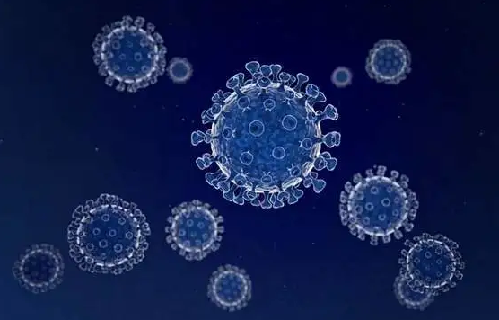 新冠和甲流有什么区别(新冠和甲流怎么区分) 新冠和甲流有什么区别(新冠和甲流怎么区分)