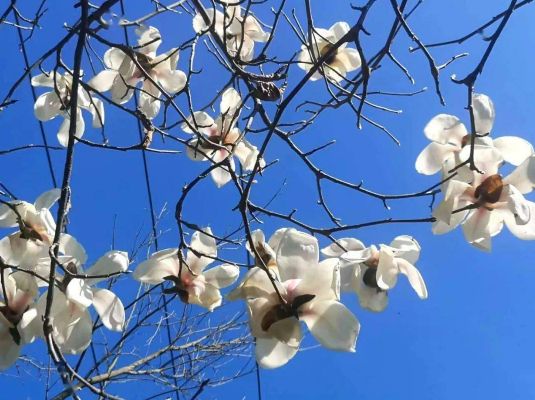 2023年闰二月是好是坏2