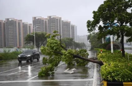 2023年台风会多吗（2023年什么时候台风最多）