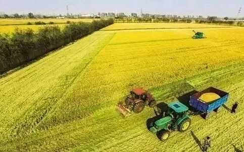 2023粮食补贴是国家直接发放吗（2023粮食补贴是国家直接发放吗）