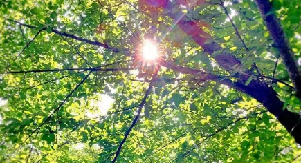 2023年夏天几月份开始热起来（夏天从几月份开始算起）