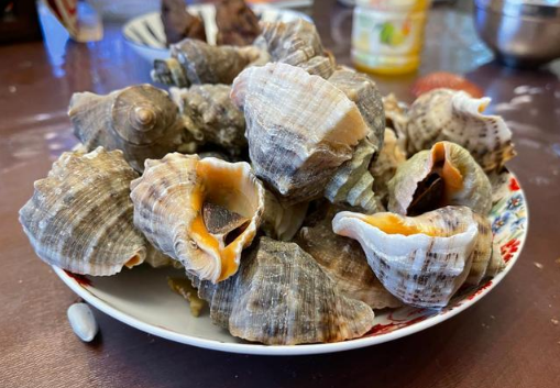 蒸海螺出现白色液体还能吃吗