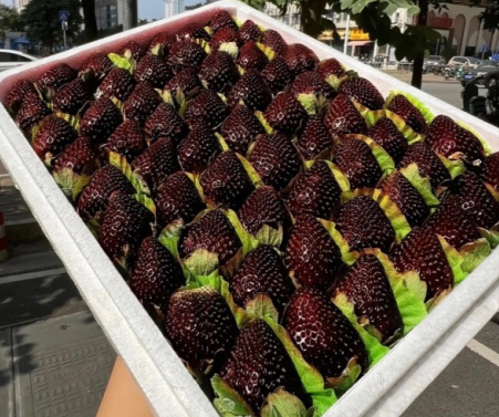 黑色草莓多少钱一斤(为什么黑草莓这么贵) 黑色草莓多少钱一斤(为什么黑草莓这么贵)