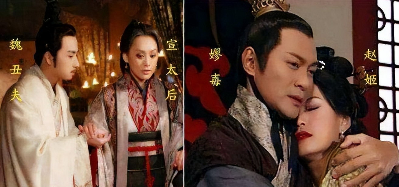 魏丑夫和魏伶优结局（大秦帝国魏伶优和魏丑夫的关系）