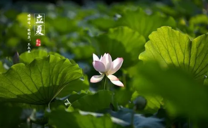 2023年立夏过后都是热天吗