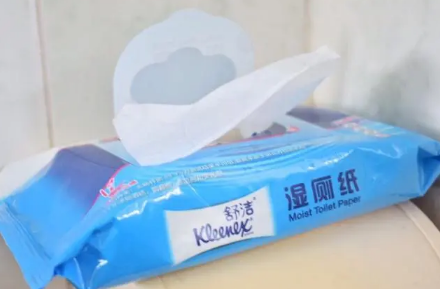 湿厕巾是选带有杀菌剂的还是选不带的（湿厕巾应该选什么样的）