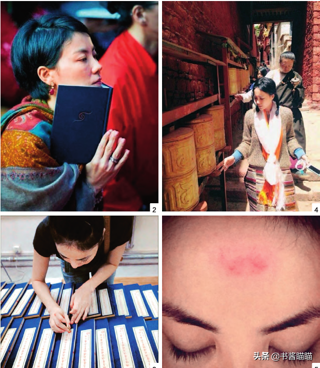 王菲为什么信仰藏传佛教（天后王菲学佛的真实原因）