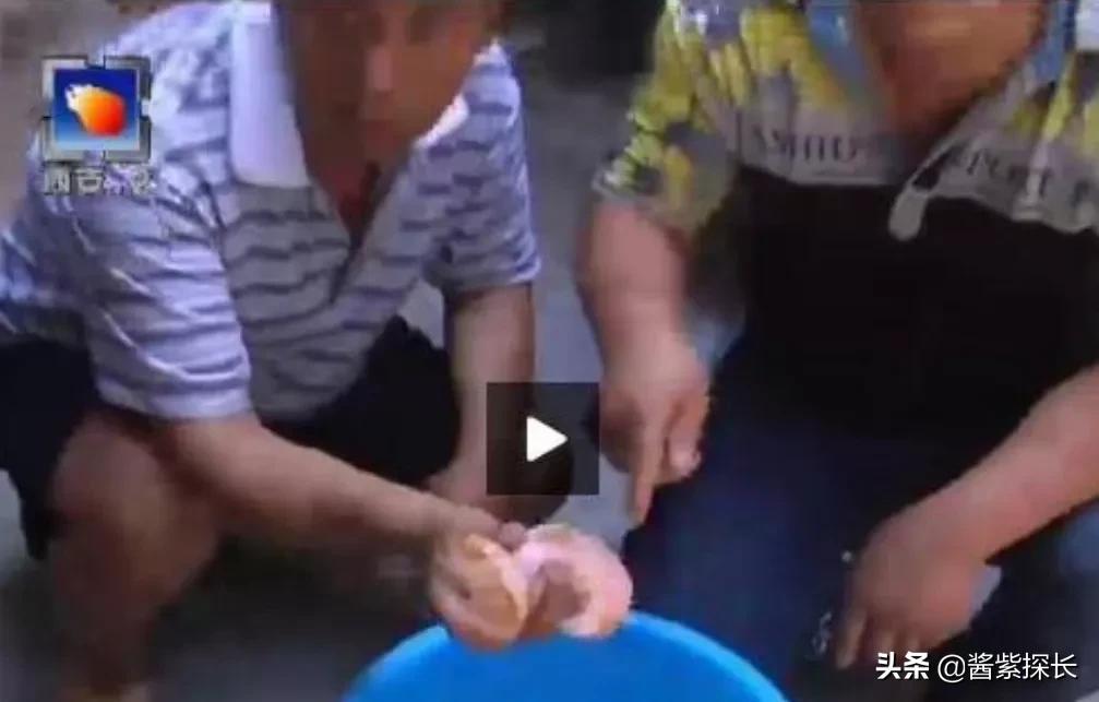 太岁女记者采访是什么梗（太岁与女记者采访事件后续）