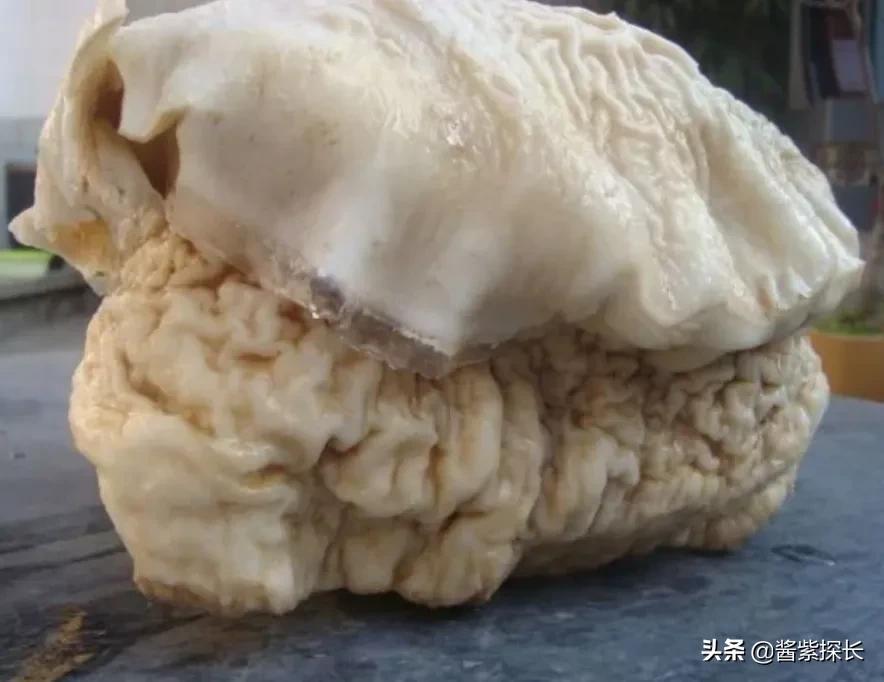 太岁女记者采访是什么梗（太岁与女记者采访事件后续）