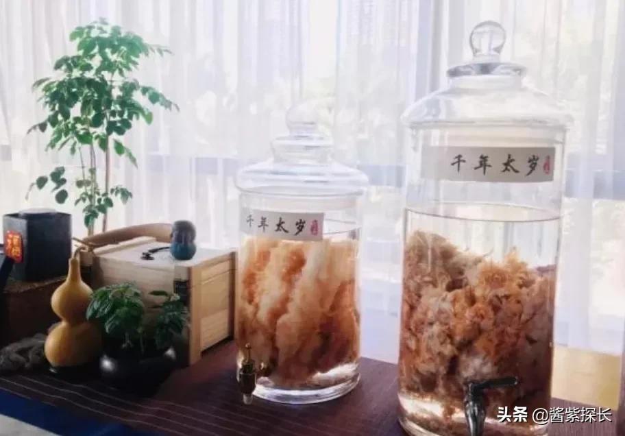 太岁女记者采访是什么梗（太岁与女记者采访事件后续）