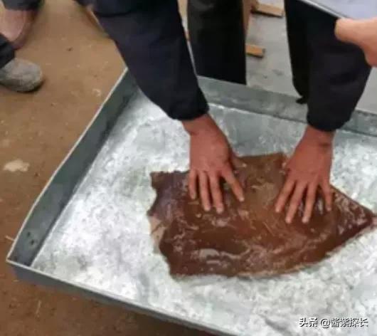 太岁女记者采访是什么梗（太岁与女记者采访事件后续）