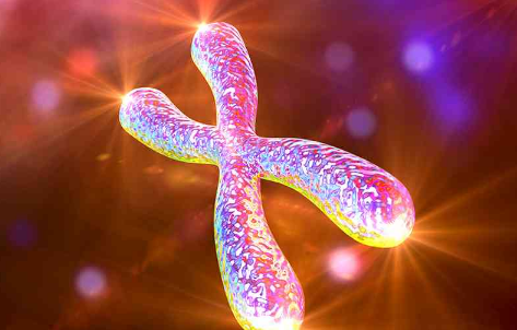 21三体综合征是指什么(21三体综合征正常范围是多少) 21三体综合征是指什么(21三体综合征正常范围是多少)