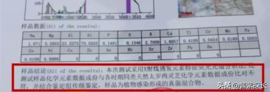 太岁女记者采访是什么梗（太岁与女记者采访事件后续）