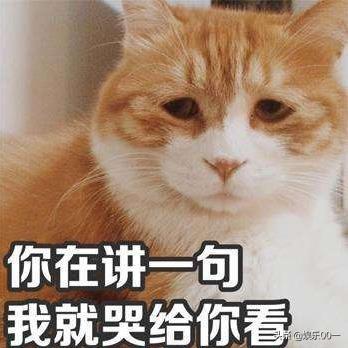 女生说很丧是什么意思（丧文化的积极意义）