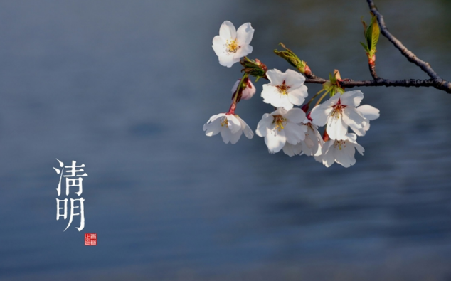 2023清明节过后天气是不是很暖和了（2023清明节气温大概多少度）