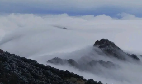 2023黄山云海几月份去最好（黄山云海最佳观赏季节是几月份）