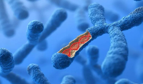 21三体综合征是指什么(21三体综合征正常范围是多少) 21三体综合征是指什么(21三体综合征正常范围是多少)