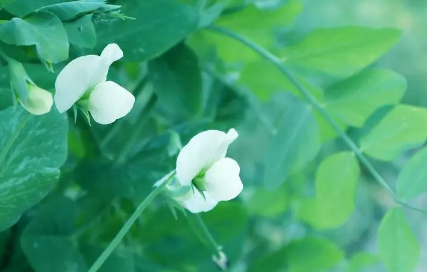 今年夏天会更热还是更冷2023