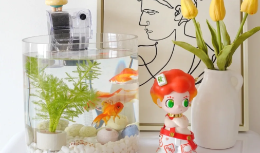 风水鱼养什么鱼最好