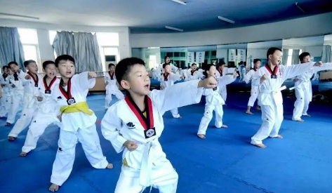 跆拳道打架用得上吗（千万别让孩子学跆拳道为什么）