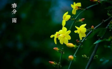 2023春分是春天的开始还是春天的结束