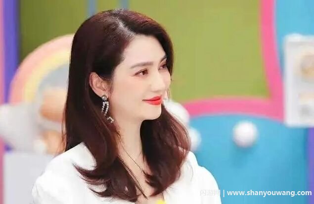 洪欣肉丸子事件是真的吗 洪欣和刘銮雄什么关系