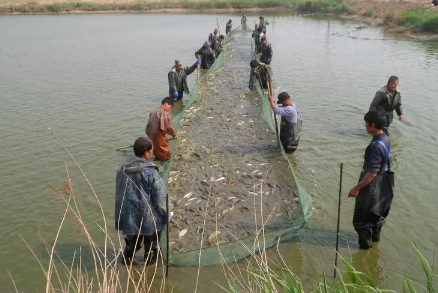 2023禁渔期渔民有补贴吗（禁渔期哪些渔民有补贴）