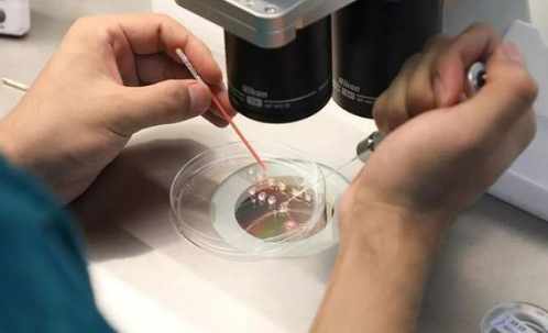 三代试管可以选择性别吗3