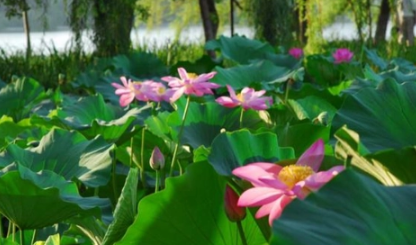 今年夏天天气算反常吗2023 今年夏天天气算反常吗2023