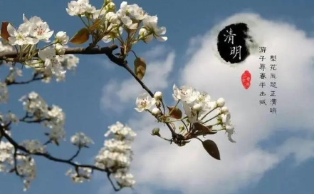 2023年清明节冲什么生肖（清明节有哪些生肖不能上坟）