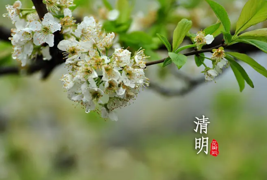 2023清明节过后天气是不是很暖和了（2023清明节气温大概多少度）