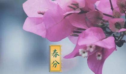 2023春分是春天的开始还是春天的结束（春天的结束是哪个节气）