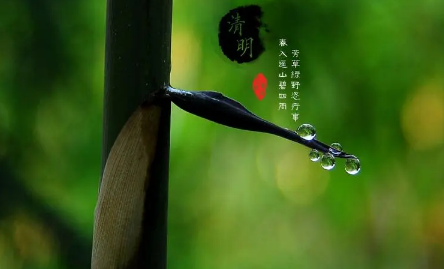 2023清明期间地铁上可以带纸钱吗2