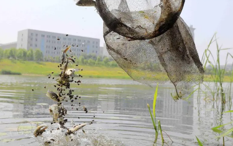 2023禁渔期河流旁边有个水坑能钓鱼吗（禁渔期自然水域全部都不能钓鱼吗）