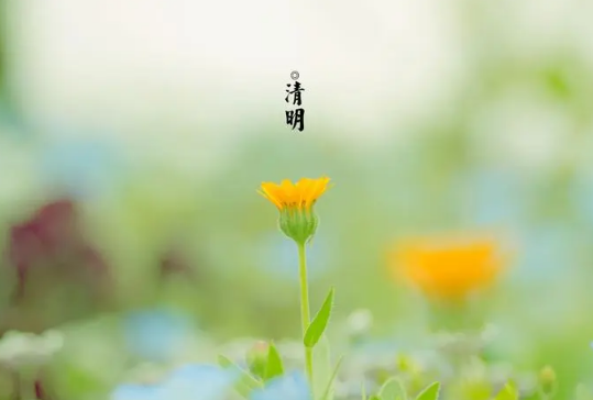 2023年清明节在闰二月还是三月（2023年清明节在农历几月）