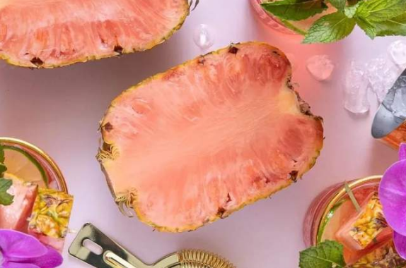 粉色菠萝是转基因吗(粉色菠萝是哪里产的) 粉色菠萝是转基因吗(粉色菠萝是哪里产的)