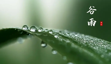 2023年谷雨会下雨吗(谷雨就是雨水季节吗) 2023年谷雨会下雨吗(谷雨就是雨水季节吗)