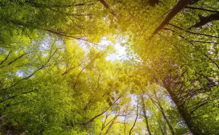 暑假是几月到几月2023年（2023年暑假是放60天吗）