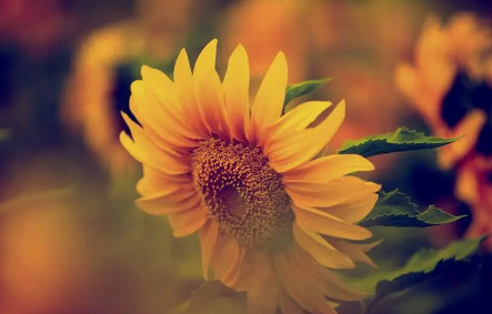 今年夏天天气算反常吗2023 今年夏天天气算反常吗2023