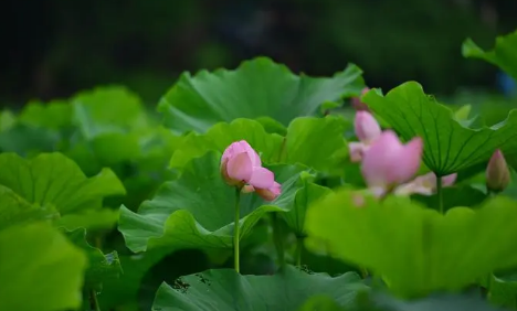 今年夏天天气算反常吗2023 今年夏天天气算反常吗2023