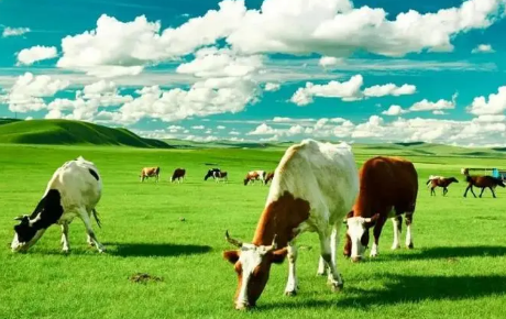 2023内蒙古几月份停暖气（内蒙古停止供暖后还热吗）