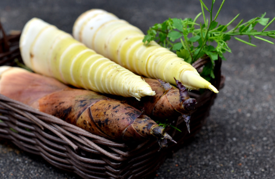 春笋常温可以放几天1