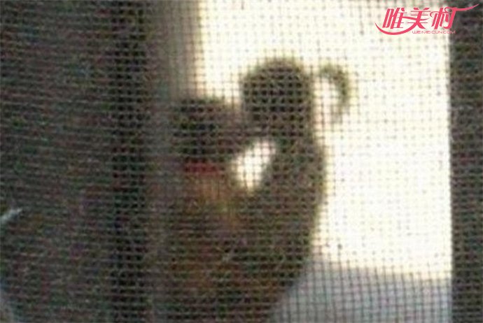 成都一中学不雅照片流出 课室上拥吻互摸败坏风气