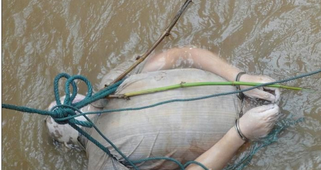 湄公河惨案真相经过揭秘 湄公河惨案图片