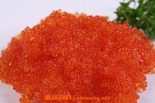 飞鱼籽产地哪里 飞鱼籽是什么鱼产的 2