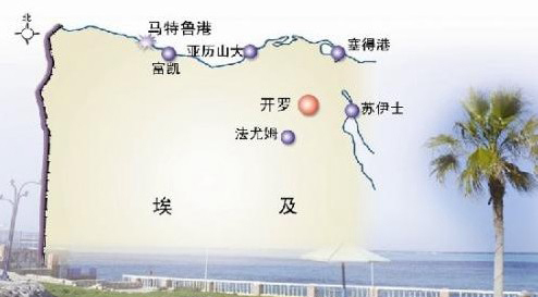 中国留学生埃及溺亡被证实 游泳遇风浪酿悲剧 1