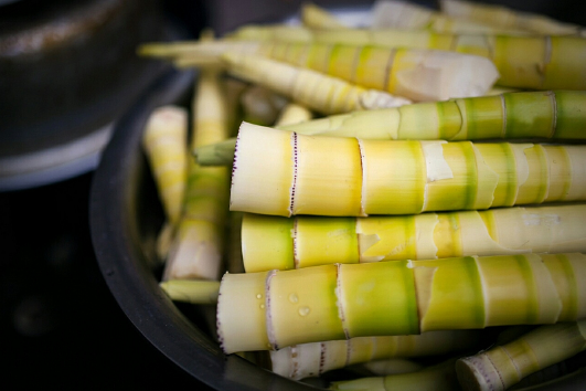 春笋和冬笋哪个涮火锅好吃2